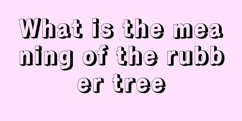 What is the meaning of the rubber tree