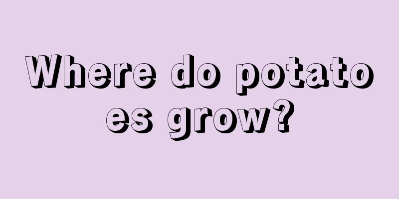 Where do potatoes grow?