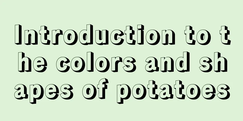 Introduction to the colors and shapes of potatoes