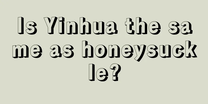 Is Yinhua the same as honeysuckle?