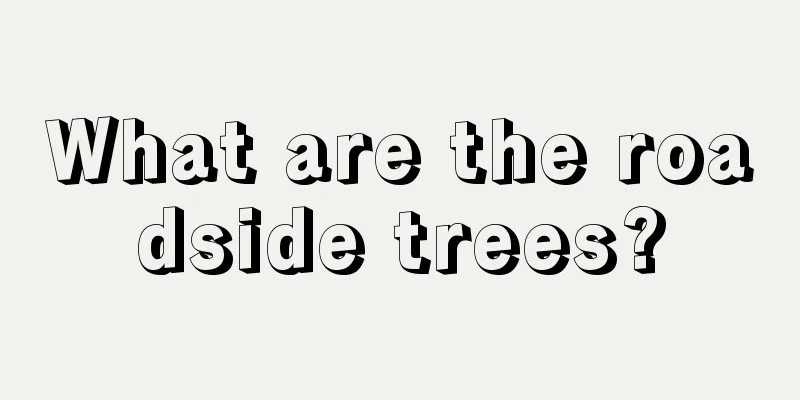 What are the roadside trees?