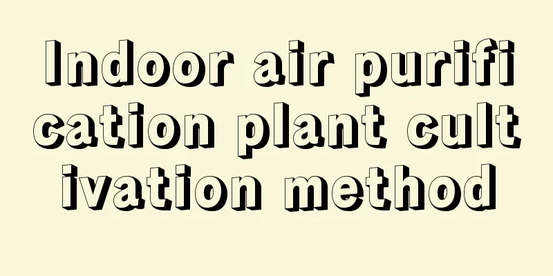 Indoor air purification plant cultivation method