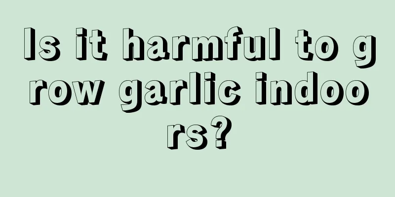 Is it harmful to grow garlic indoors?