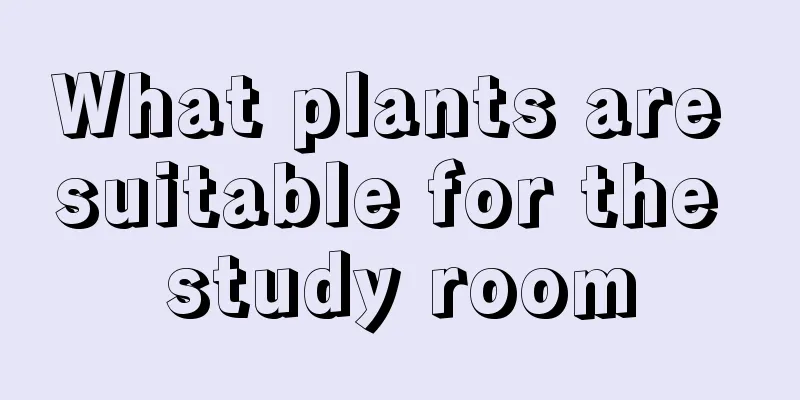 What plants are suitable for the study room