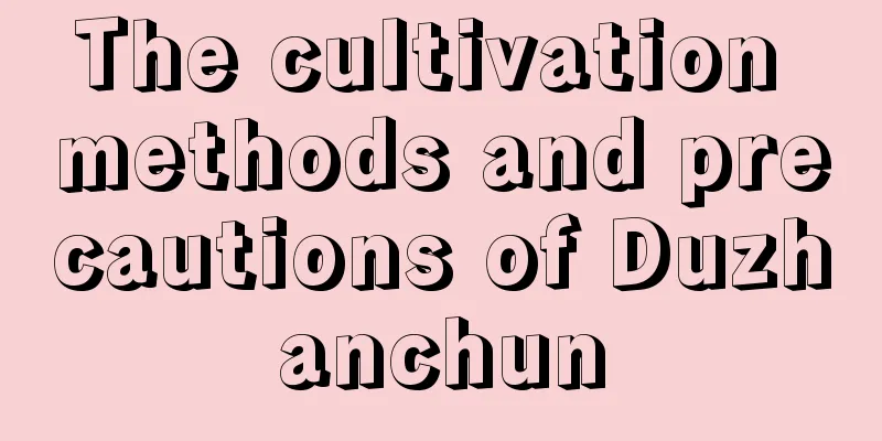 The cultivation methods and precautions of Duzhanchun