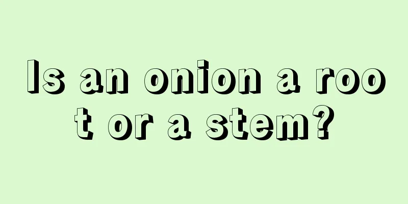 Is an onion a root or a stem?