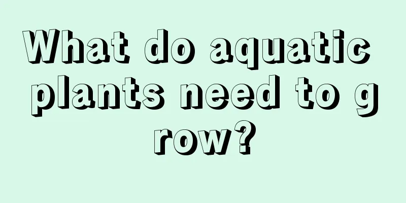 What do aquatic plants need to grow?