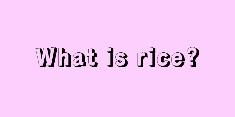 What is rice?