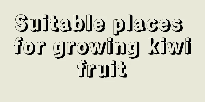 Suitable places for growing kiwifruit