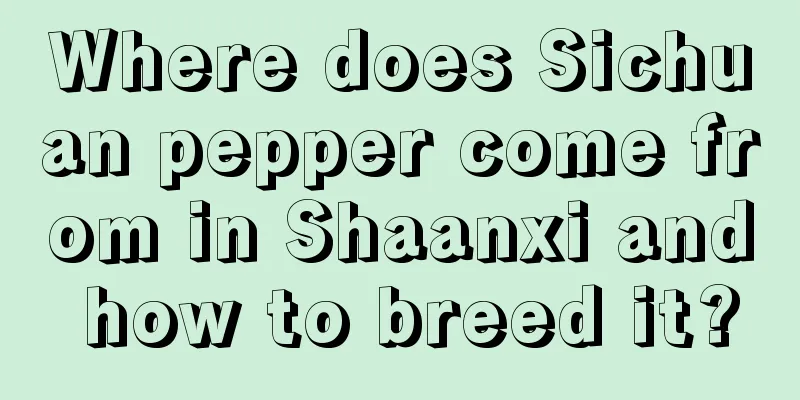 Where does Sichuan pepper come from in Shaanxi and how to breed it?