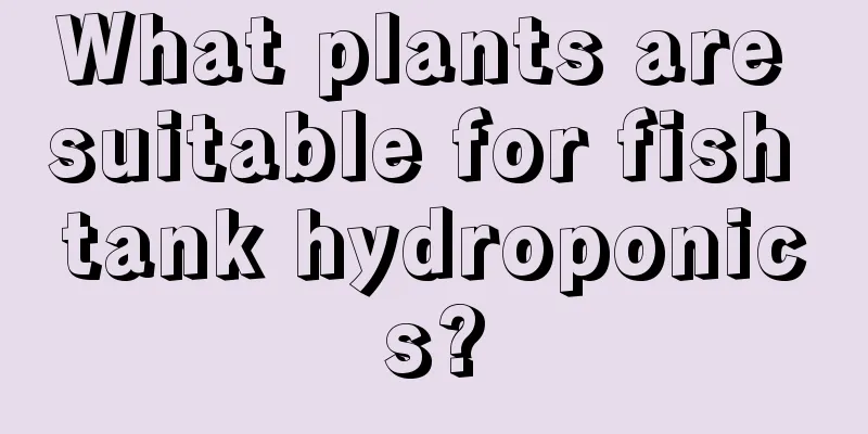 What plants are suitable for fish tank hydroponics?