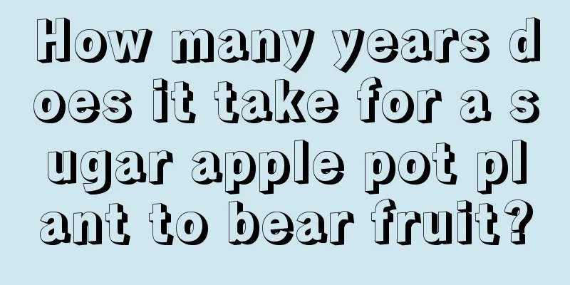 How many years does it take for a sugar apple pot plant to bear fruit?