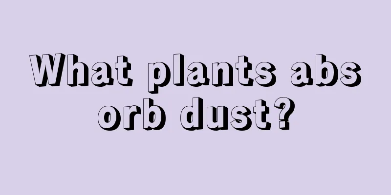 What plants absorb dust?