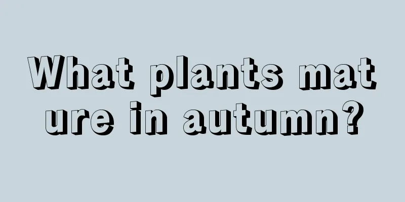 What plants mature in autumn?