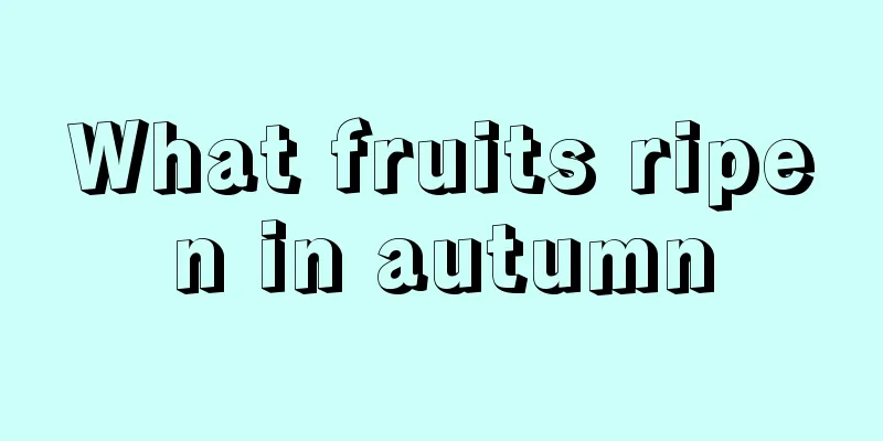 What fruits ripen in autumn