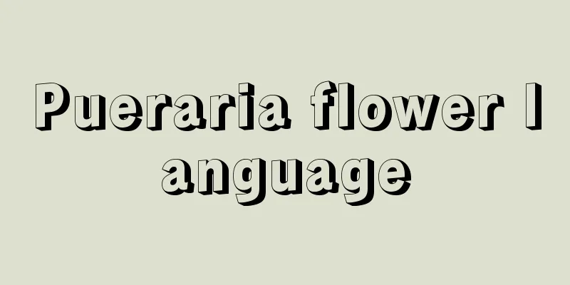 Pueraria flower language