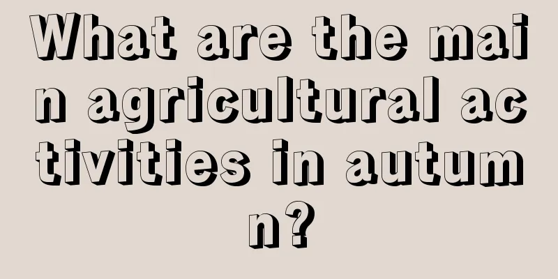 What are the main agricultural activities in autumn?