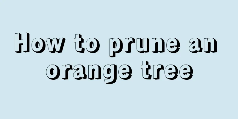 How to prune an orange tree