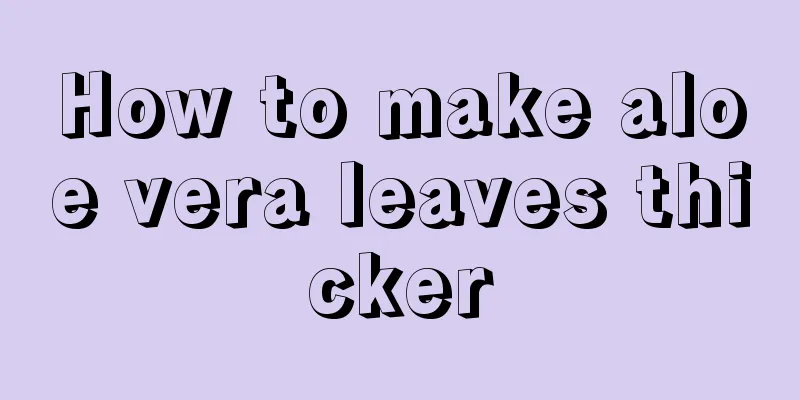 How to make aloe vera leaves thicker