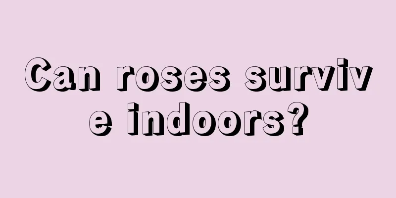 Can roses survive indoors?