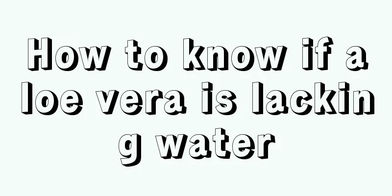 How to know if aloe vera is lacking water