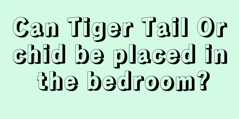 Can Tiger Tail Orchid be placed in the bedroom?