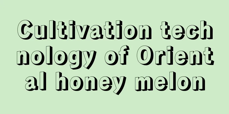 Cultivation technology of Oriental honey melon