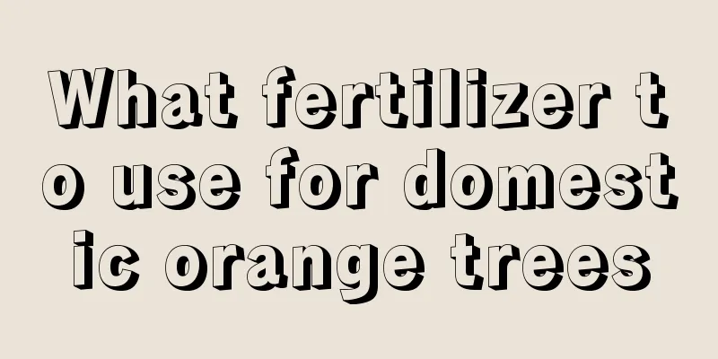 What fertilizer to use for domestic orange trees