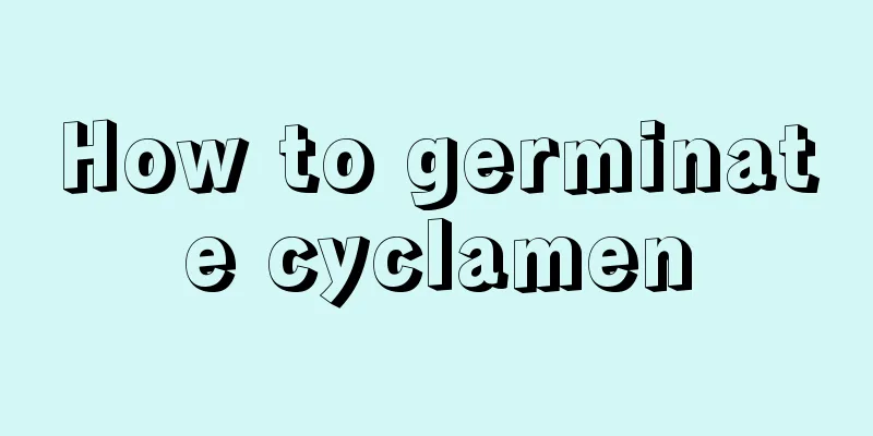 How to germinate cyclamen