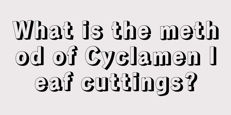 What is the method of Cyclamen leaf cuttings?