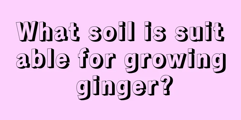 What soil is suitable for growing ginger?