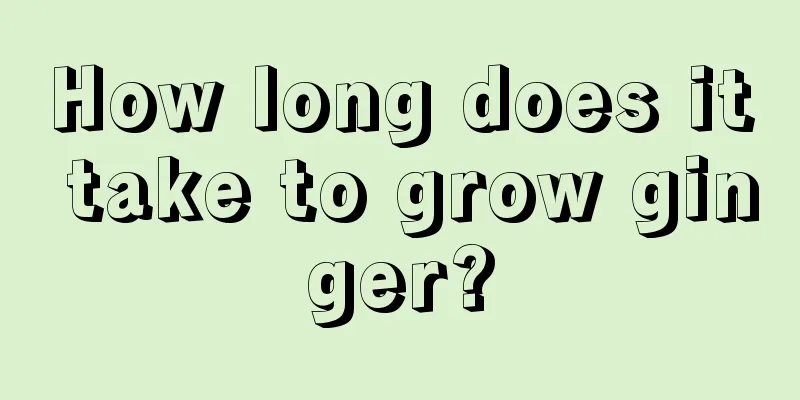 How long does it take to grow ginger?