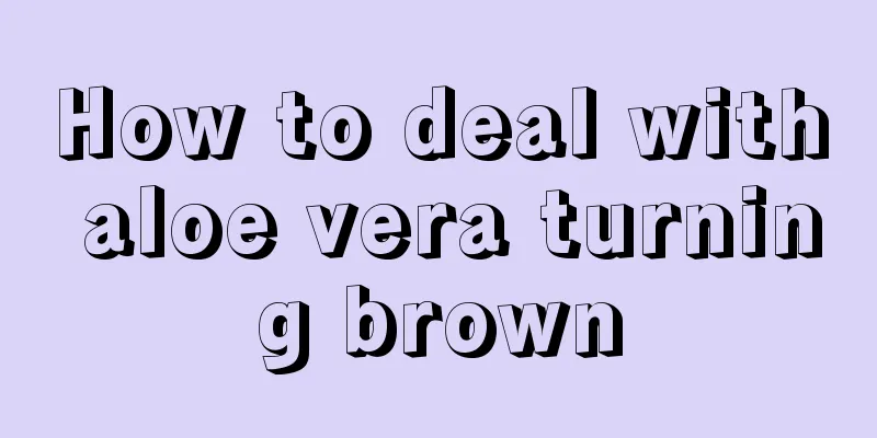 How to deal with aloe vera turning brown