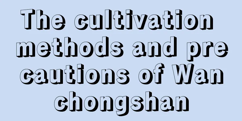 The cultivation methods and precautions of Wanchongshan