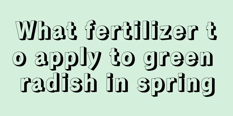 What fertilizer to apply to green radish in spring