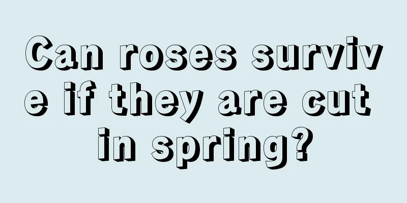 Can roses survive if they are cut in spring?