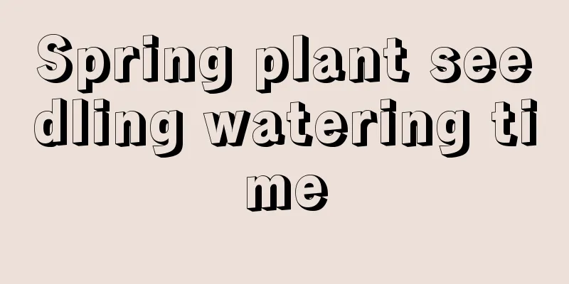 Spring plant seedling watering time