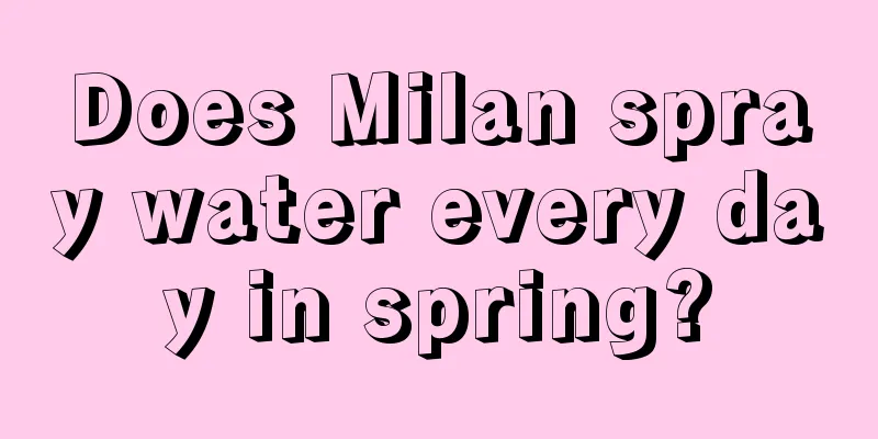 Does Milan spray water every day in spring?