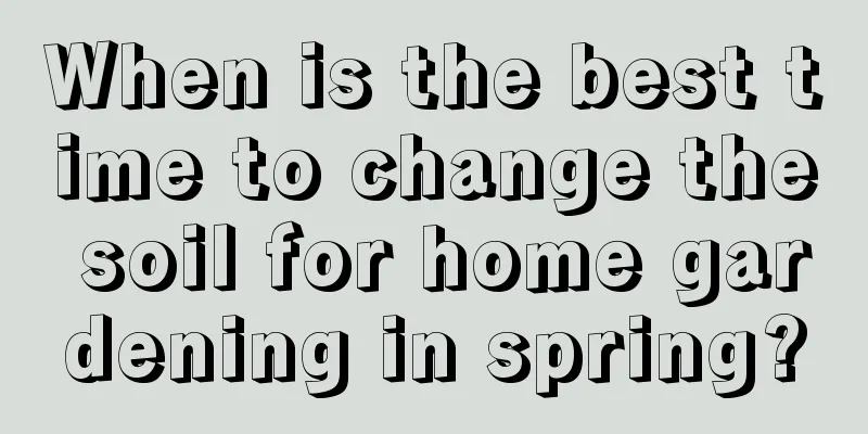 When is the best time to change the soil for home gardening in spring?