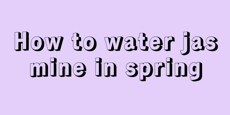 How to water jasmine in spring