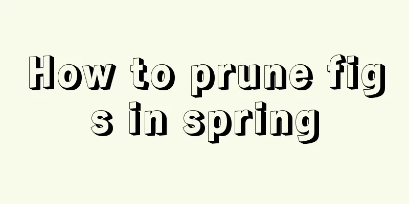 How to prune figs in spring