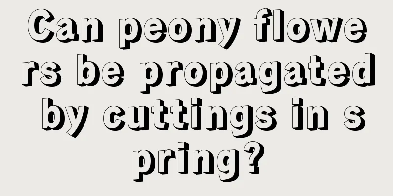 Can peony flowers be propagated by cuttings in spring?