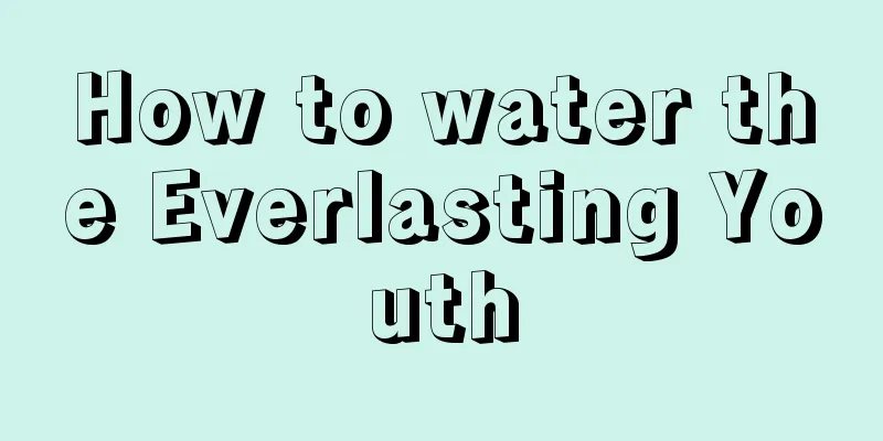 How to water the Everlasting Youth