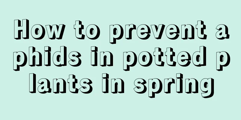 How to prevent aphids in potted plants in spring