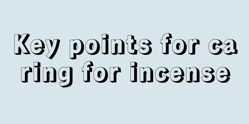 Key points for caring for incense