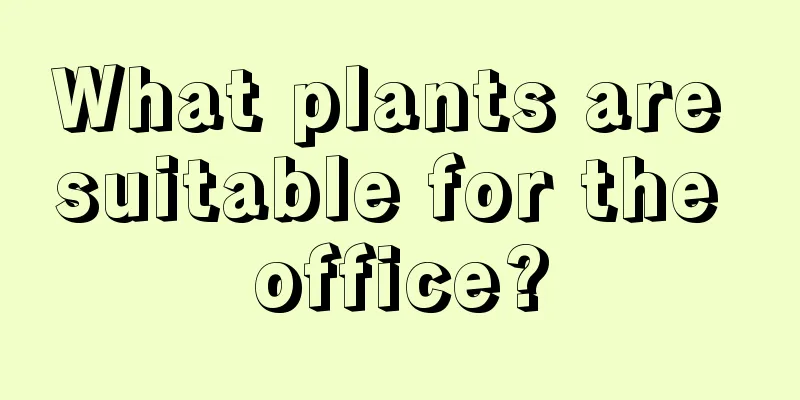 What plants are suitable for the office?