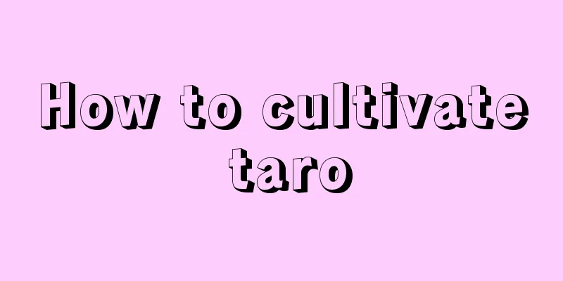 How to cultivate taro