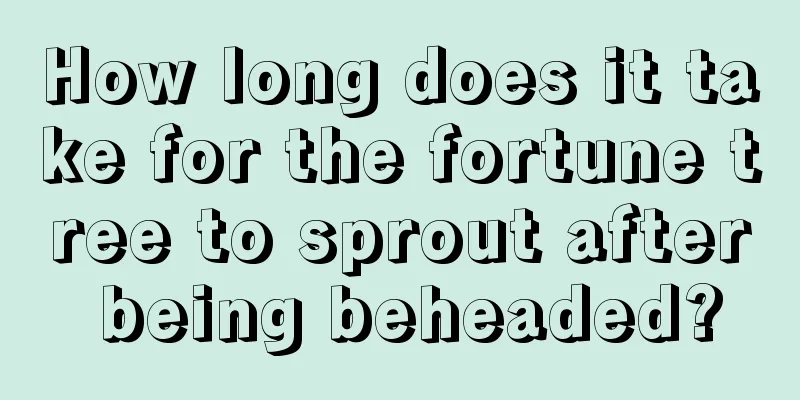 How long does it take for the fortune tree to sprout after being beheaded?