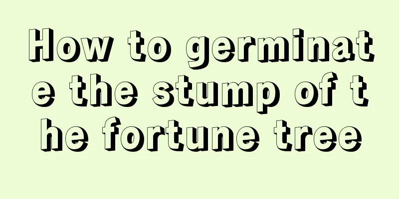 How to germinate the stump of the fortune tree