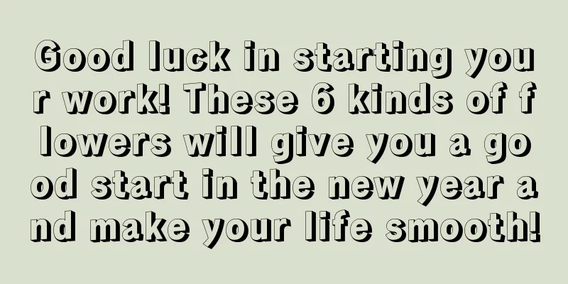 Good luck in starting your work! These 6 kinds of flowers will give you a good start in the new year and make your life smooth!